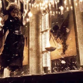Helena Bonham Carter stars as Bellatrix Lestrange in Warner Bros Pictures' Harry Potter and the Half-Blood Prince (2009)