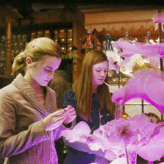 Emma Watson stars as Hermione Granger and Bonnie Wright stars as Ginny Weasley in Warner Bros Pictures' Harry Potter and the Half-Blood Prince (2009)