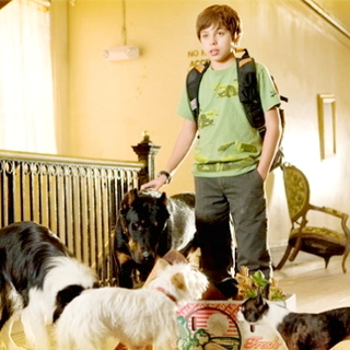 Hotel for Dogs Picture 5