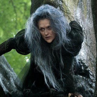 Into the Woods Picture 1