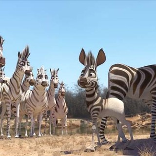 Khumba Picture 5