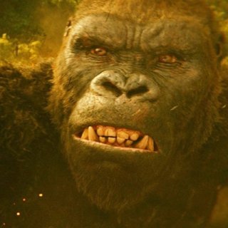 Kong: Skull Island Picture 38