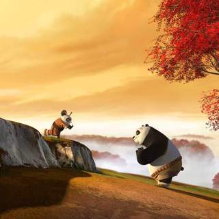 Kung Fu Panda Picture 9