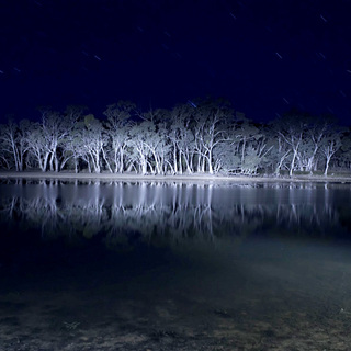 A scene from After Dark Films' Lake Mungo (2010)