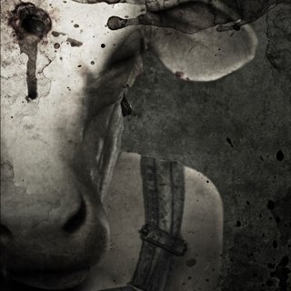 Leatherface Picture 2