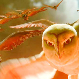 Legend of the Guardians: The Owls of Ga'Hoole Picture 2