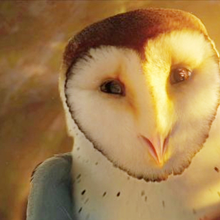 Legend of the Guardians: The Owls of Ga'Hoole Picture 11