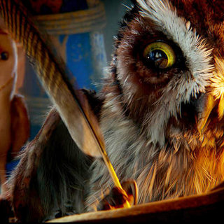 Legend of the Guardians: The Owls of Ga'Hoole Picture 53