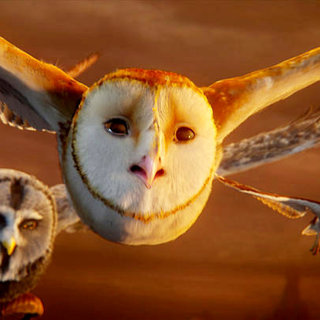 Legend of the Guardians: The Owls of Ga'Hoole Picture 55