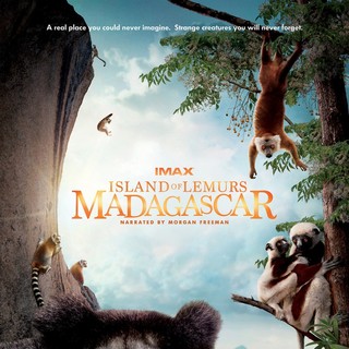 Poster of Warner Bros. Pictures' Island of Lemurs: Madagascar (2014)