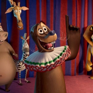 Gloria the Hippo, Melman the Giraffe, Marty the Zebra, Stefano the Sea Lion and Alex the Lion of DreamWorks Animation's Madagascar 3: Europe's Most Wanted (2012)