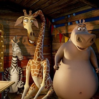 The Penguins, Marty the Zebra, Melman the Giraffe and Gloria the Hippo of from DreamWorks Animation's Madagascar 3: Europe's Most Wanted (2012)