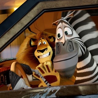 Alex the Lion and Marty the Zebra of DreamWorks Animation's Madagascar 3: Europe's Most Wanted (2012)