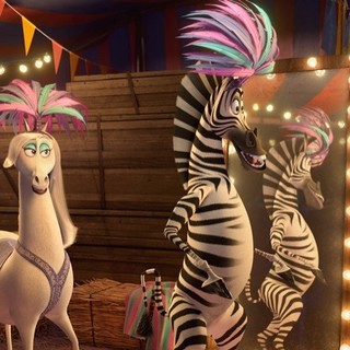 Marty the Zebra and The Andalusian Triplets of DreamWorks Animation's Madagascar 3: Europe's Most Wanted (2012)
