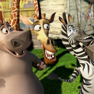Gloria the Hippo, Melman the Giraffe and Marty the Zebra of DreamWorks Animation's Madagascar 3: Europe's Most Wanted (2012)