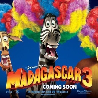 Madagascar 3: Europe's Most Wanted Picture 11