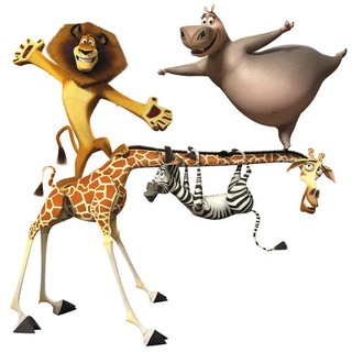 Alex the Lion, Gloria the Hippo, Melman the Giraffe and Marty the Zebra of DreamWorks Animation's Madagascar 3: Europe's Most Wanted (2012)