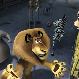 Madagascar 3: Europe's Most Wanted Picture 5