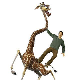 David Schwimmer voices Melman the giraffe in DreamWorks Pictures' Madagascar: Escape 2 Africa (2008)