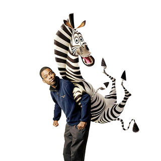 Chris Rock voices Marty the zebra in DreamWorks Pictures' Madagascar: Escape 2 Africa (2008)