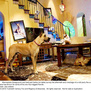 A scene from 20th Century Fox's Marmaduke (2010)