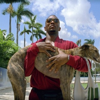 Pain and Gain Picture 9