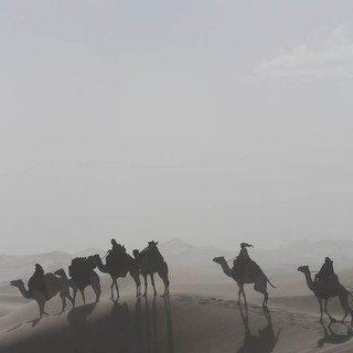 A scene from IFC Films' Queen of the Desert (2017)