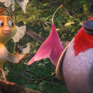 Rio 2 Picture 24