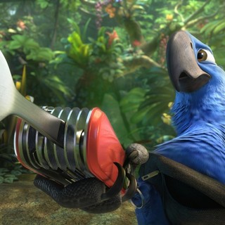 Rio 2 Picture 27