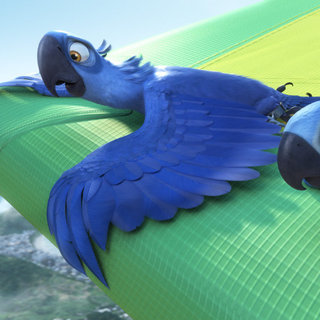 A scene from 20th Century Fox's Rio (2011)