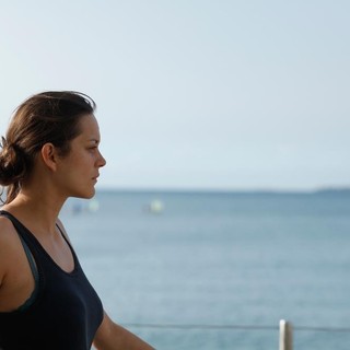 Rust and Bone Picture 29