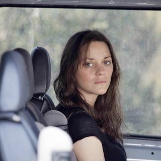 Marion Cotillard stars as Stephanie in Sony Pictures Classics' Rust and Bone (2012)