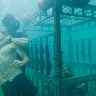 Shark Night 3D Picture 37