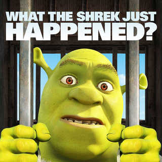 Shrek Forever After Picture 16
