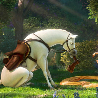Tangled Picture 62