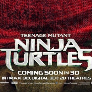 Teenage Mutant Ninja Turtles Picture 31