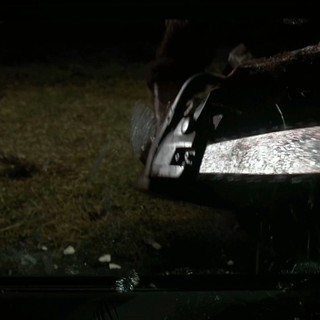 Texas Chainsaw 3D Picture 28
