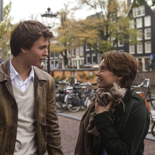 The Fault in Our Stars Picture 2