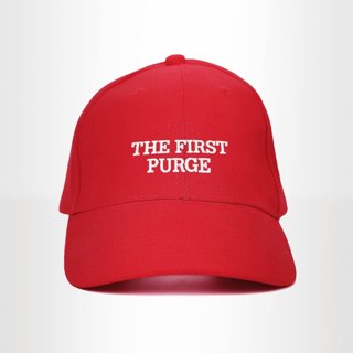 The First Purge Picture 1