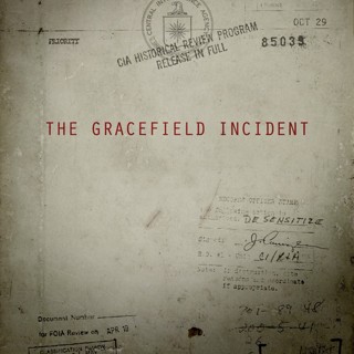 The Gracefield Incident Picture 5