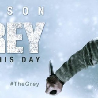 The Grey Picture 8