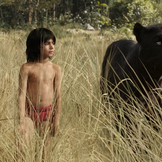 The Jungle Book Picture 2