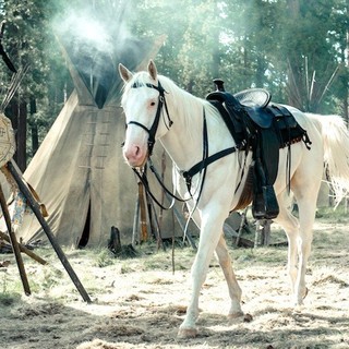 The Lone Ranger Picture 56