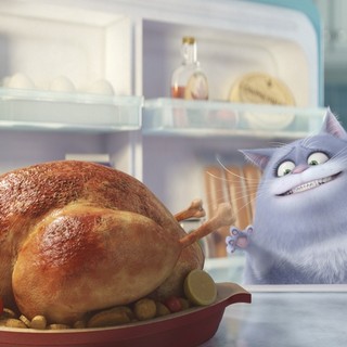 A scene frrom Universal Pictures' The Secret Life of Pets (2015)