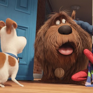 A scene frrom Universal Pictures' The Secret Life of Pets (2015)