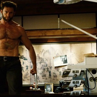 The Wolverine Picture 20