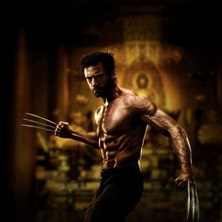 The Wolverine Picture 1