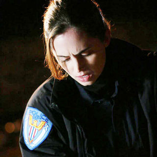 Eliza Dushku stars as Megan Paige in Anchor Bay Entertainment's The Alphabet Killer (2008)