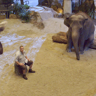 Zookeeper Picture 5
