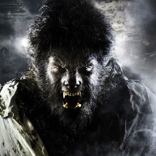 The Wolfman Poster